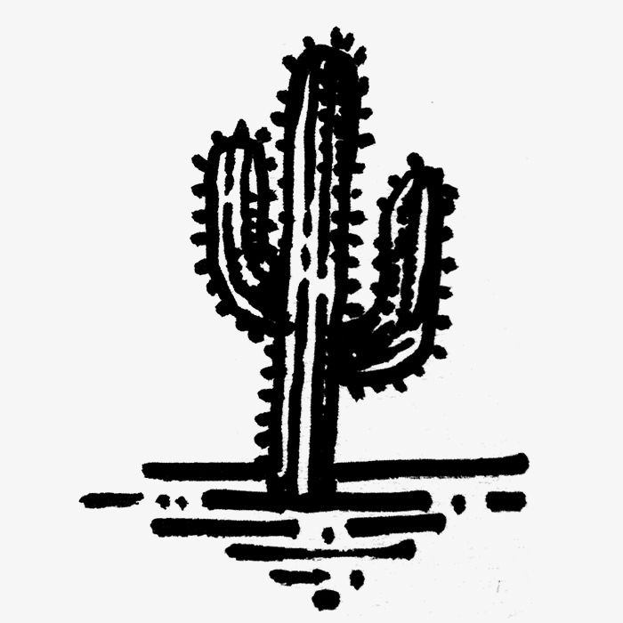 salt and silver kaktus logo